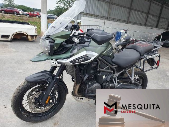 TRIUMPH TIGER 19/19