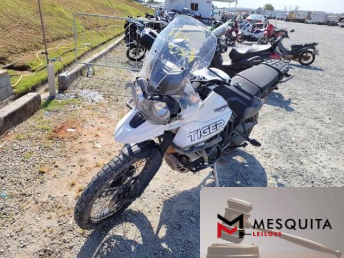 TRIUMPH TIGER 20/20